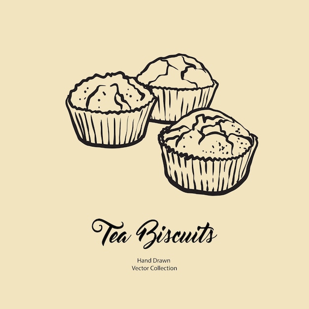 Cupcakes muffins aislados dibujados a mano vector línea ilustración estilo antiguo Vector té galletas cookies logotipo de cocina diseño de embalaje café menú banner flayer cafetería en estilo retro dibujado a mano