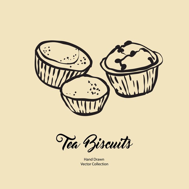 Cupcakes muffins aislados dibujados a mano vector línea ilustración estilo antiguo Vector té galletas cookies logotipo de cocina diseño de embalaje café menú banner flayer cafetería en estilo retro dibujado a mano