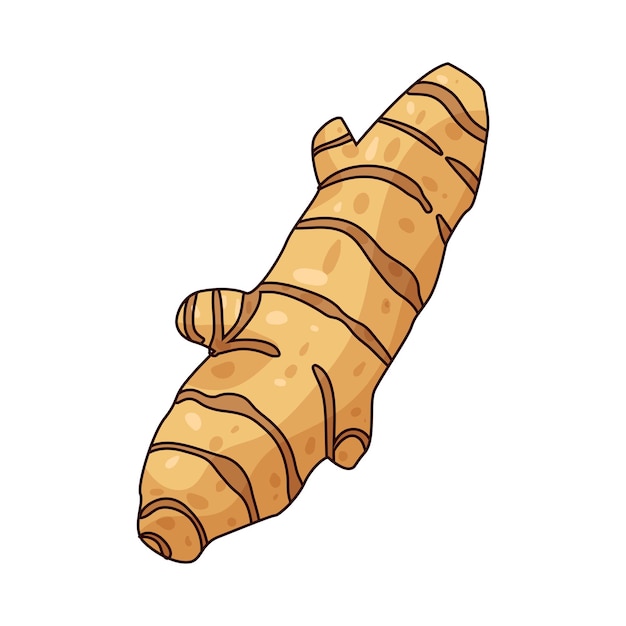Cúrcuma