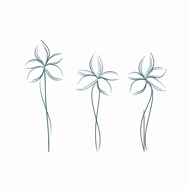 Curiosas obras de arte de plumeria en un estilo vectorial moderno