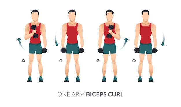 Curl de bíceps de un brazo, entrenamiento de gimnasia para hombres, ejercicios aeróbicos y ejercicios.