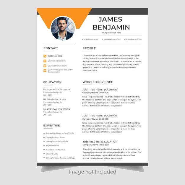curriculum vitae profesional o plantilla de diseño de cv