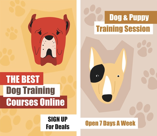 Cursos online de sesiones de adiestramiento de perros y cachorros