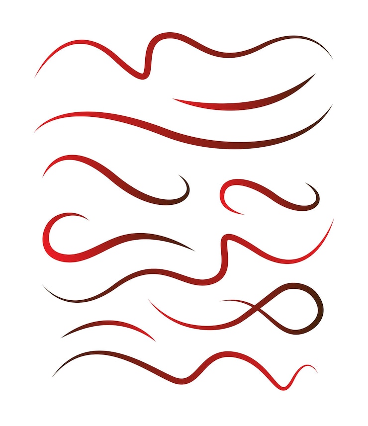 Vector curvas para añadir al diseño y modificarlo añadiendo toques artísticos