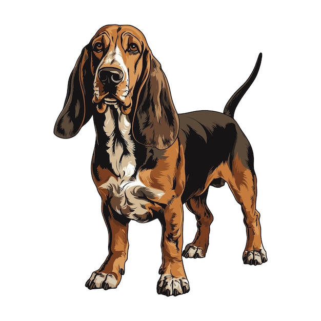 Vector cute basset hound dog dibujos animados vector art diseño de ilustraciones