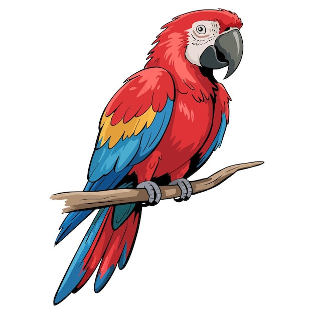 Cute cartoon a illustrator vector Macaw