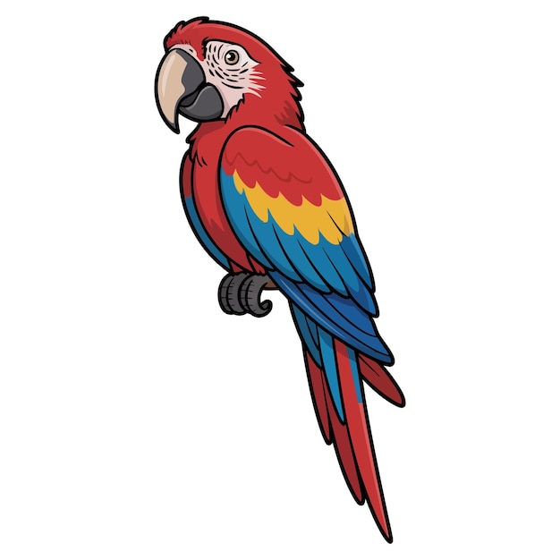 Cute cartoon a illustrator vector Macaw