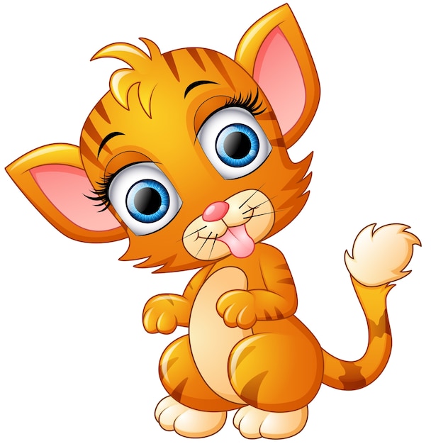 Cute cat cartoon