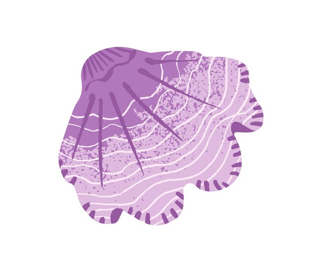Cute cockleshell of undersea clams Exotic sea shell of mollusk scallop Drawing seashell of tropical shellfish cockle Ocean decor beach decoration Flat isolated vector illustration on white