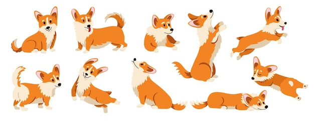 Cute corgi perro dibujado divertido cachorro adorable perrito animales domésticos en diferentes poses y situaciones caricaturas perros galeses mascotas conjunto plano vectorial