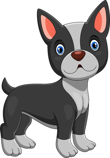 Cute dibujos animados de boston terrier