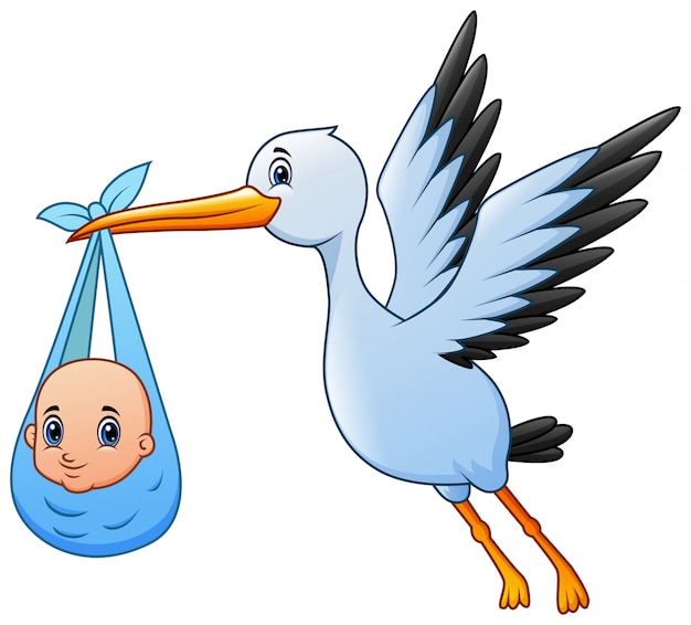 Vector cute dibujos animados una cigüeña volando con baby boy