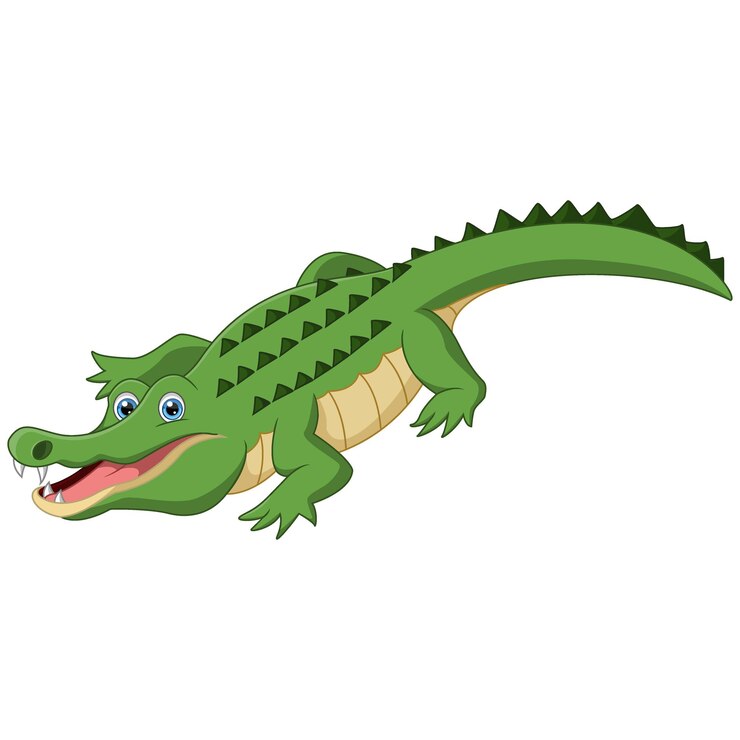 Vector cute dibujos animados de cocodrilo sobre fondo blanco.