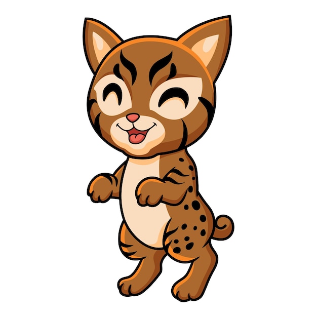 Vector cute dibujos animados de gato pixie bob