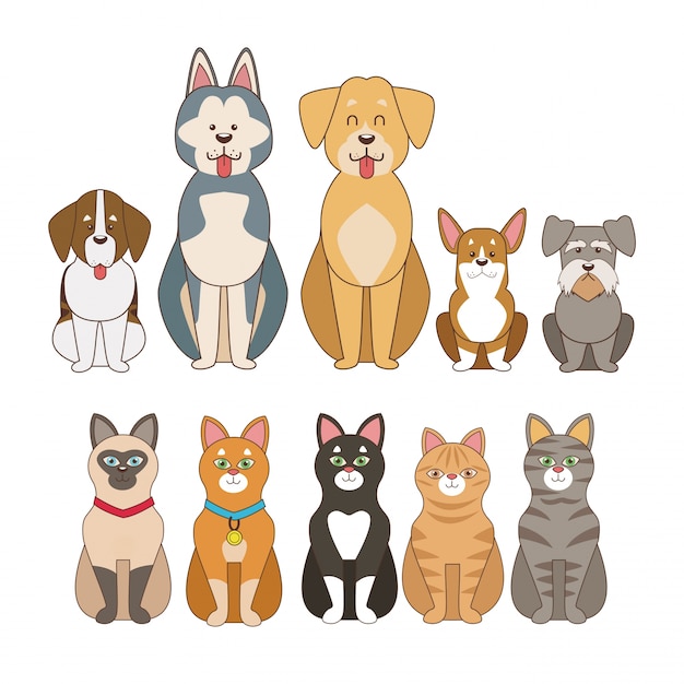 Cute dibujos animados de mascotas
