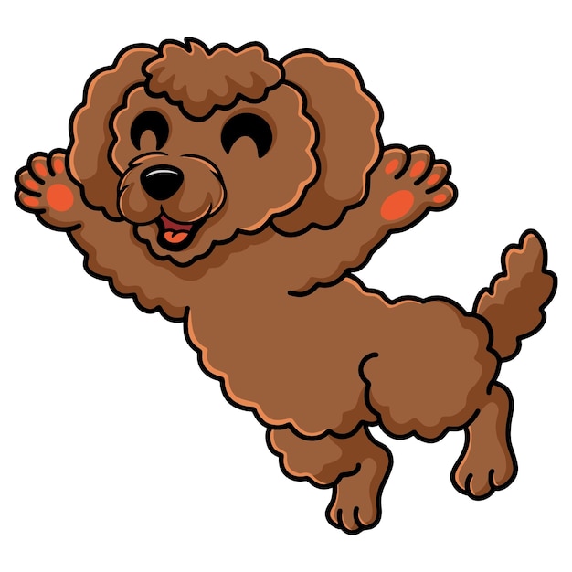 Vector cute dibujos animados de perro caniche toy