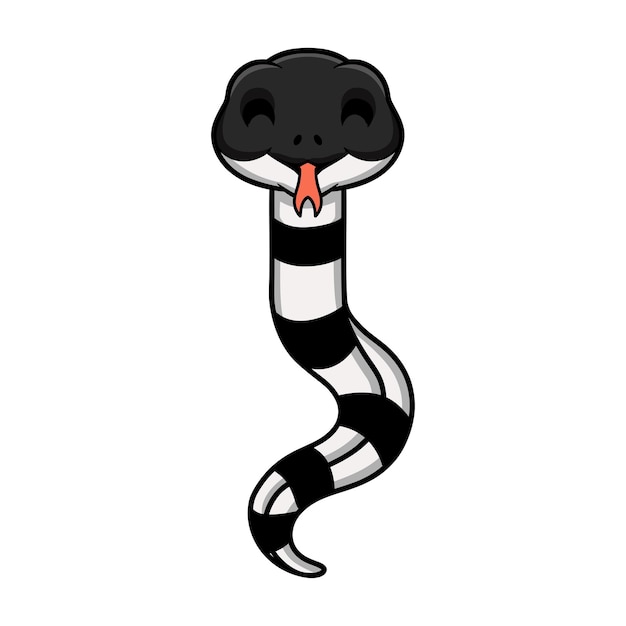 Vector cute dibujos animados de serpiente krait con bandas