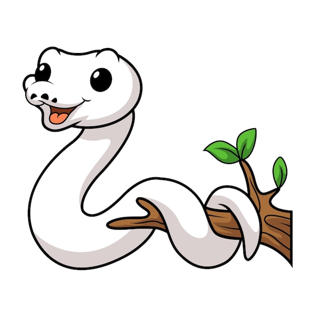 Vector cute dibujos animados de serpiente pitón bola leucística blanca en la rama de un árbol