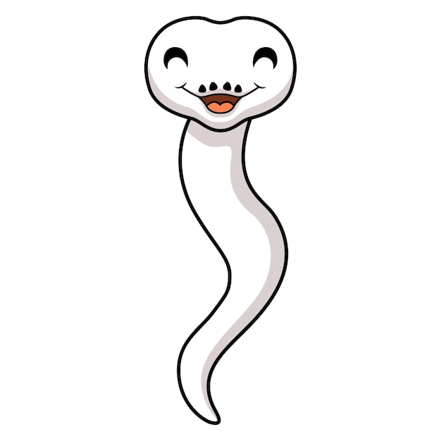 Vector cute dibujos animados de serpiente pitón bola leucística blanca