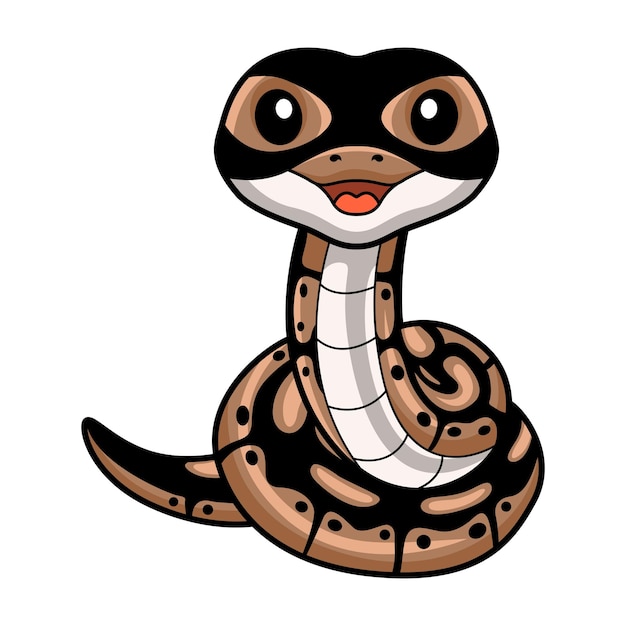 Cute dibujos animados de serpiente pitón bola