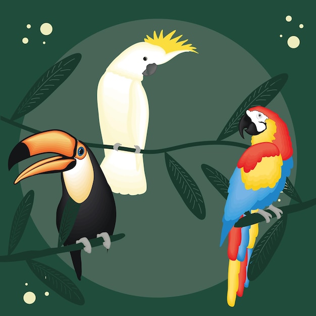 Vector cute dibujos animados tucán cacatúa y guacamayo sobre fondo verde