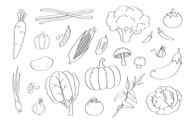 Vector cute dibujos animados de vegetales