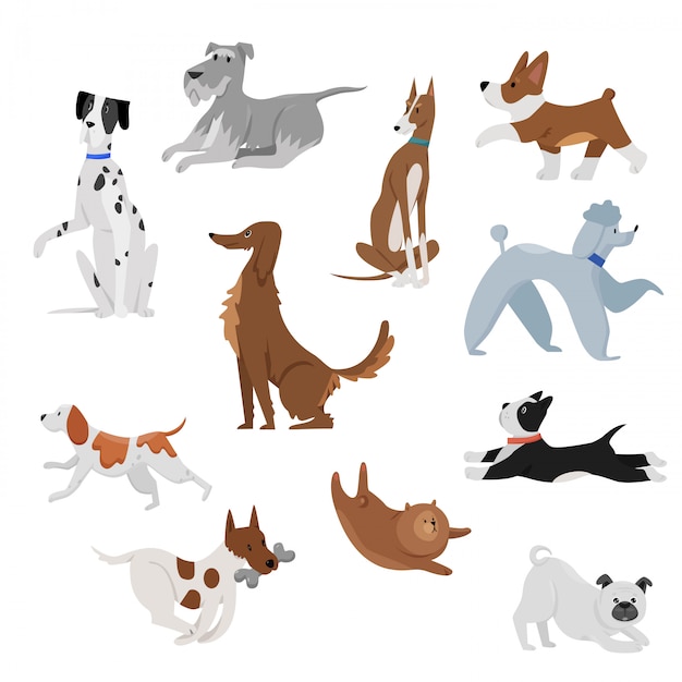 Cute divertidos dibujos animados domésticos perros mascota ilustración. Perro cachorro personajes de mascotas. Peludos amigos humanos casa animales felices conjunto.