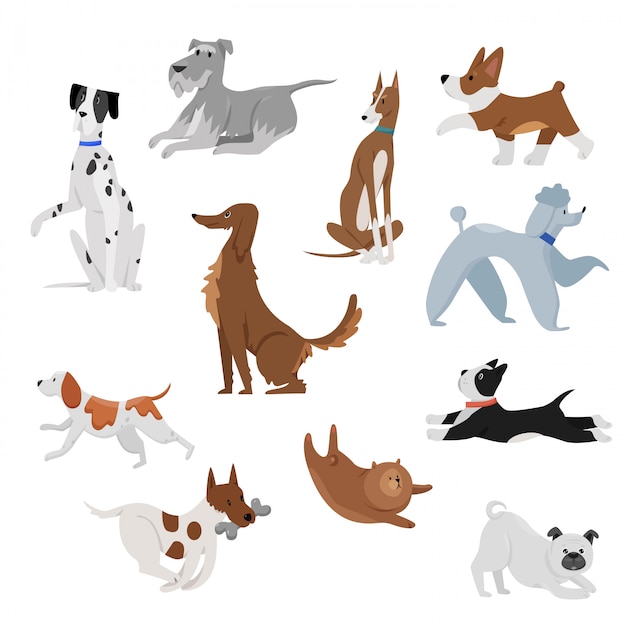 Cute divertidos dibujos animados domésticos perros mascota ilustración. perro cachorro personajes de mascotas. peludos amigos humanos casa animales felices conjunto.