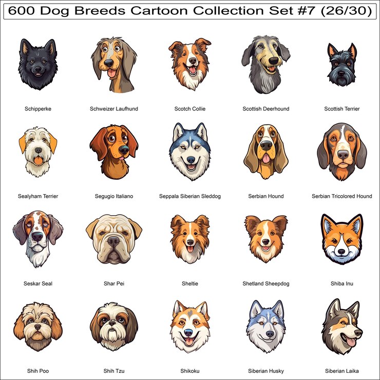 Vector cute dog breeds cartoon characters sticker bundle collection set 7 de 600 caras de perro parte 26 el nombre de la raza de perro es el mismo que el de los personajes de dibujos animados.