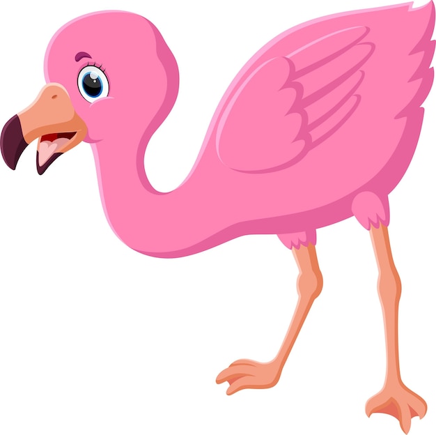 Cute flamingo cartoon isolated on white