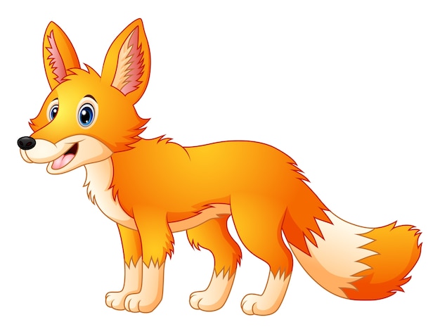 Vector cute fox cartoon