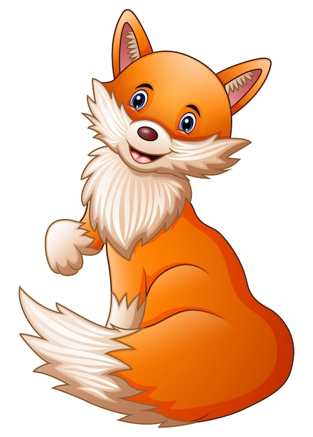 Vector cute fox cartoon