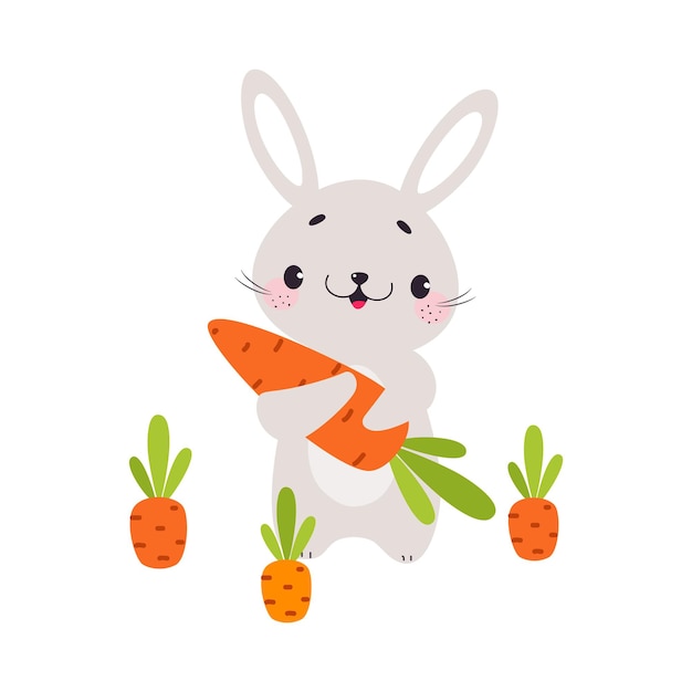 Cute Grey Bunny Character Holding Ripe Carrot Crop Vector Illustration