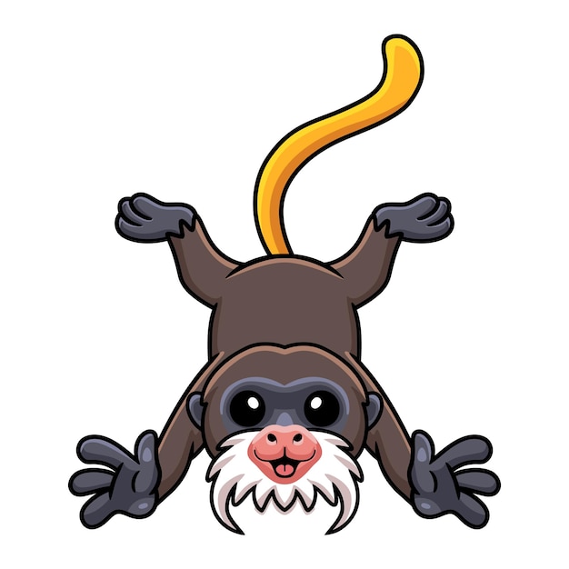 Cute little tamarin mono dibujos animados posando