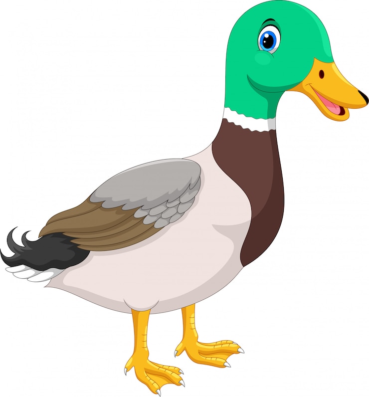 Vector cute pato de dibujos animados