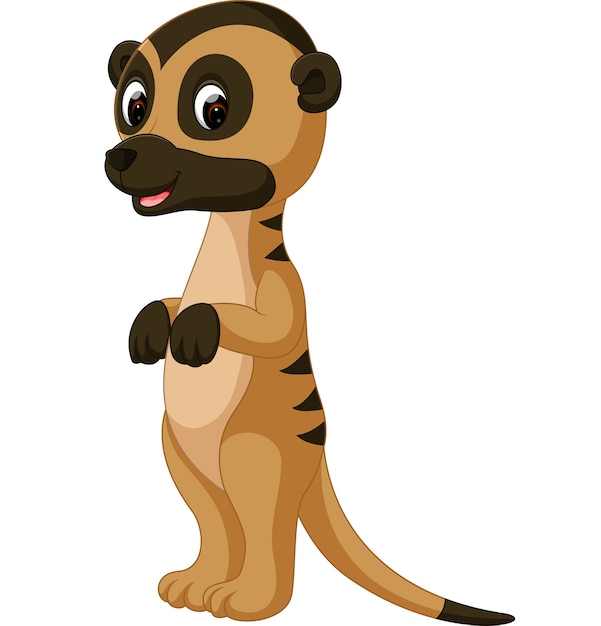 Cute suricata de dibujos animados