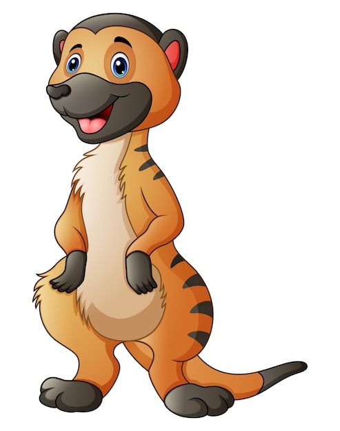 Vector cute suricata de dibujos animados