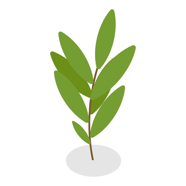 D conjunto de vectores planos isométricos de plantas en ollas para el hogar elemento de decoración verde interior