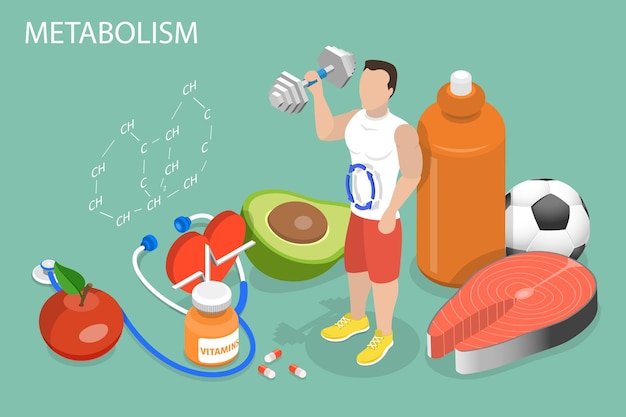D Ilustración conceptual de un vector plano isométrico de los beneficios de una dieta equilibrada para impulsar el metabolismo