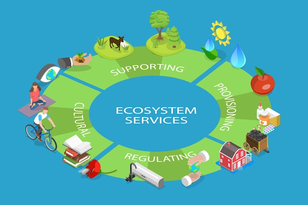 D Ilustración conceptual del vector plano isométrico de los servicios de los ecosistemas