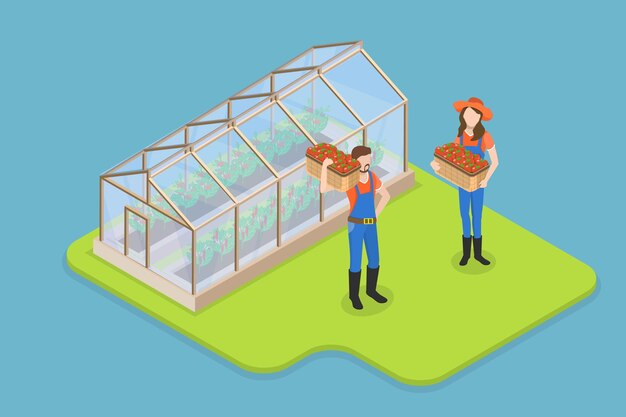 D Ilustración conceptual de vectores planos isométricos del cultivo de verduras en invernadero en la agricultura