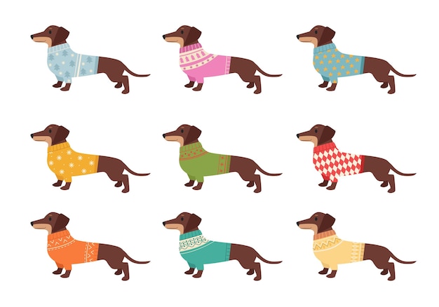 Vector dachshund lindas mascotas domésticas divertidas perros dachshund en ropa de punto imágenes vectoriales