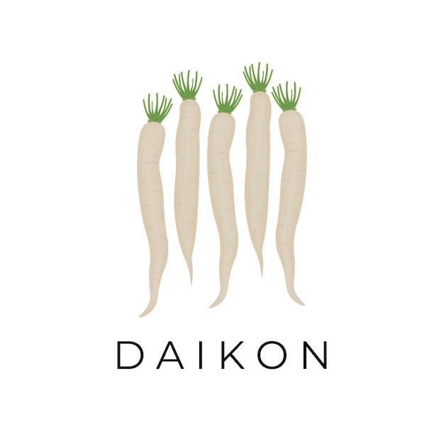 Daikon de invierno o logotipo de ilustración de rábano blanco