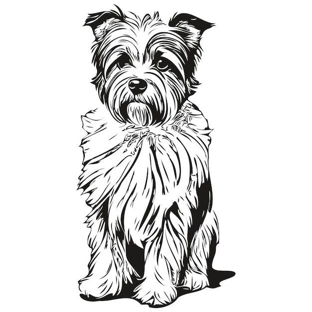 Vector dandie dinmont terriers perro caricatura cara tinta retrato blanco y negro dibujo camiseta impresión realista mascota silueta