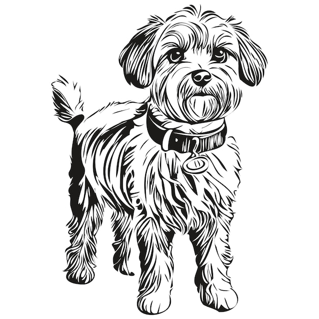 Dandie Dinmont Terriers perro lápiz dibujo a mano vector contorno ilustración mascota cara logotipo blanco y negro mascota de raza realista