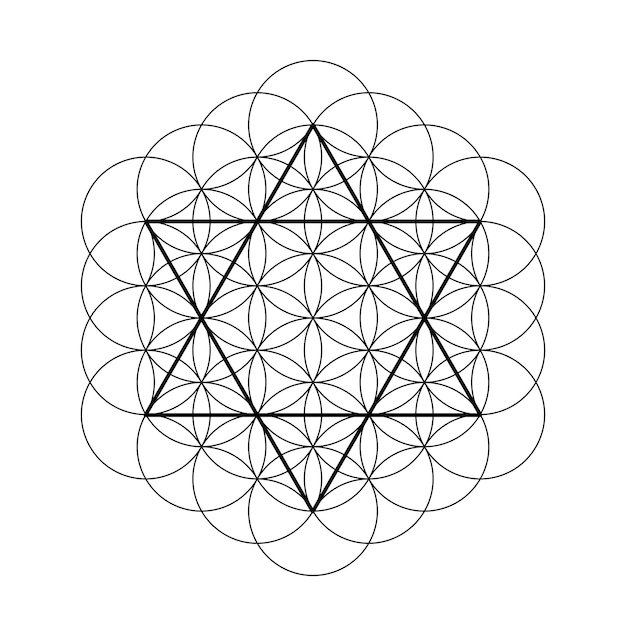 Vector david star con la flor de la vida símbolos de la geometría sagrada