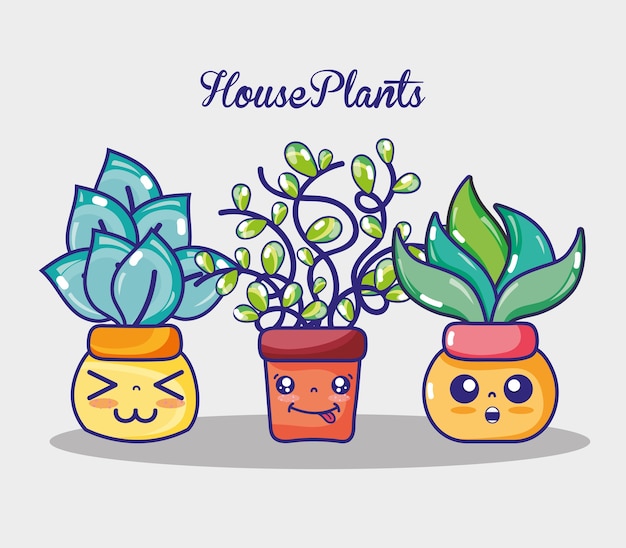Decoración de casa de kawaii de plantas naturales
