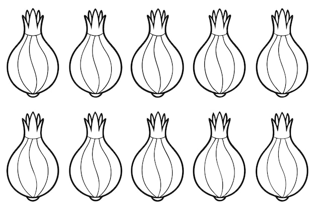 Decoración de cocina minimalista con línea de bulbos de hinojo