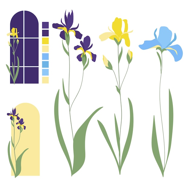 Vector decoración de dibujos de flores de iris simple
