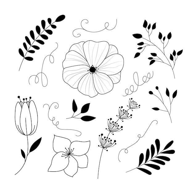 Vector decoración floral dibujada a mano doodle en blanco y negro